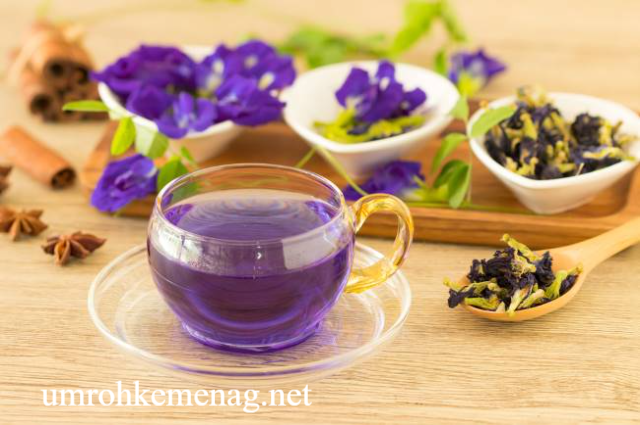 Manfaat Teh Bunga Telang
